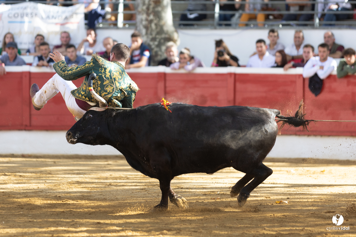 Nogaro Championnat de France de course landaise 2022