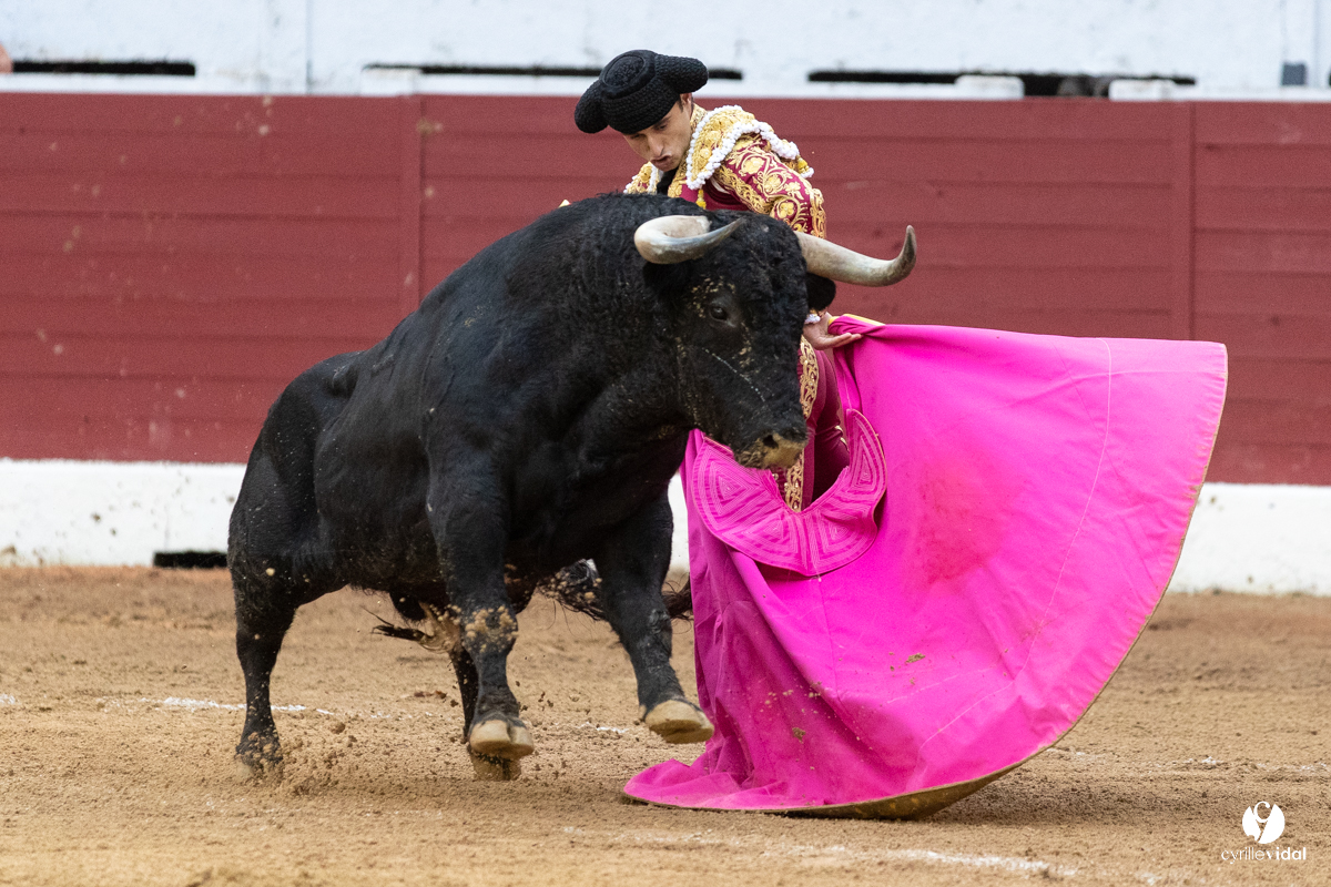 Corrida d'Aire sur l'Adour