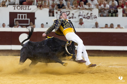 Dax concours landais 2022