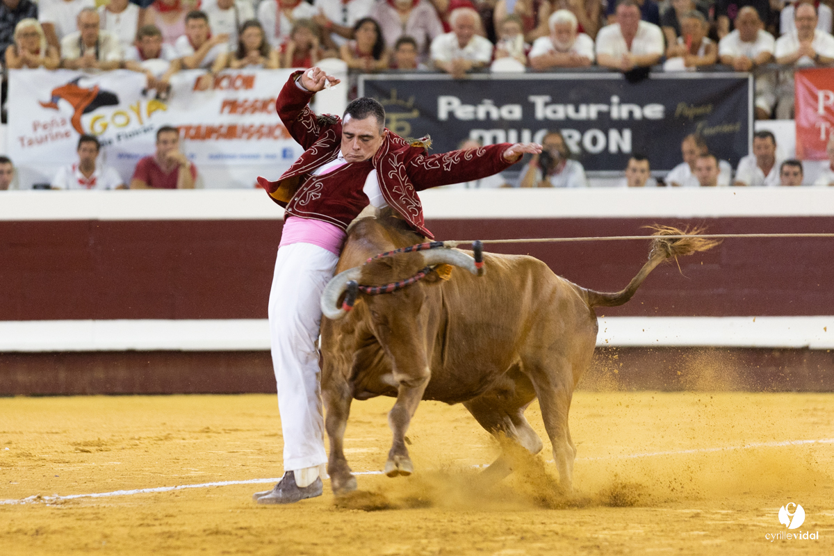 Dax concours landais 2022