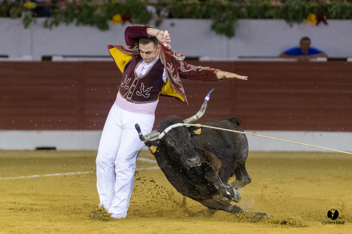 Aire sur l'Adour course landaise génération Aturine