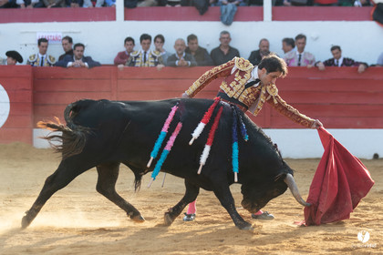 Corrida Aignan