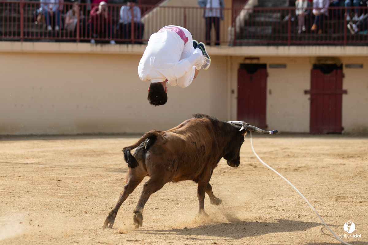 Course landaise Le Houga Ganadéria Dussau Cuadrilla Alexandre Brethes