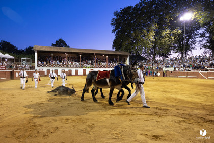 Corrida de Villeneuve-de-Marsan