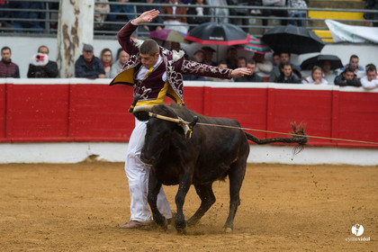 Nogaro Championnatde France de Course Landaise 2017
