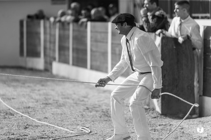 Course landaise Le Houga Ganadéria Dussau Cuadrilla Alexandre Brethes