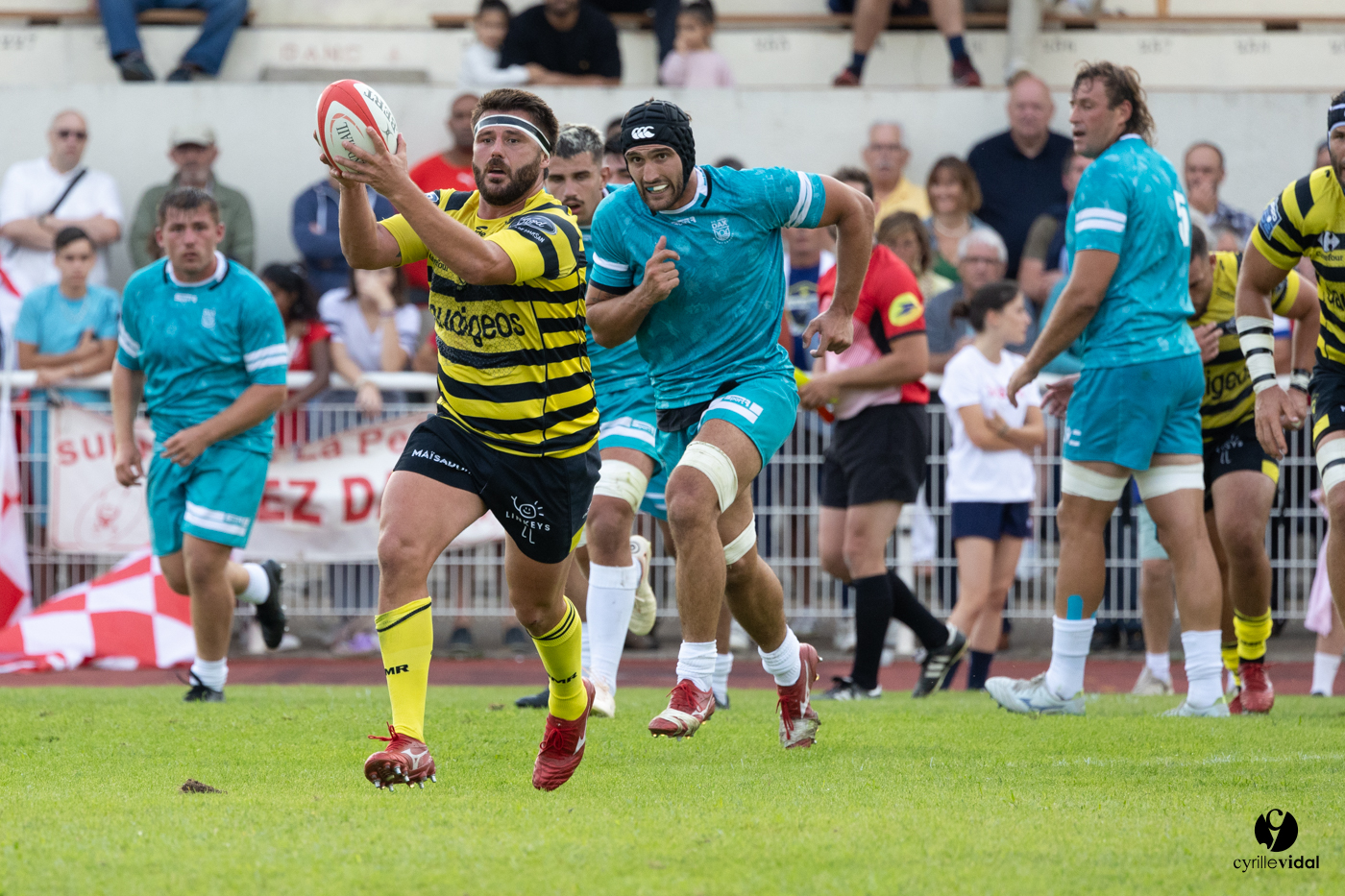 Dax - Stade Montois Rugby