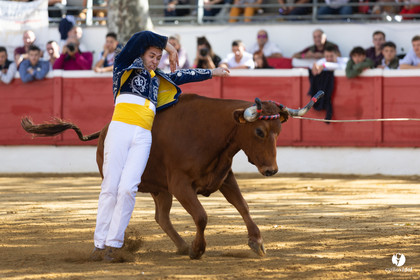 Nogaro Championnat de France de course landaise 2022