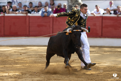 Nogaro Championnat de France de course landaise 2022