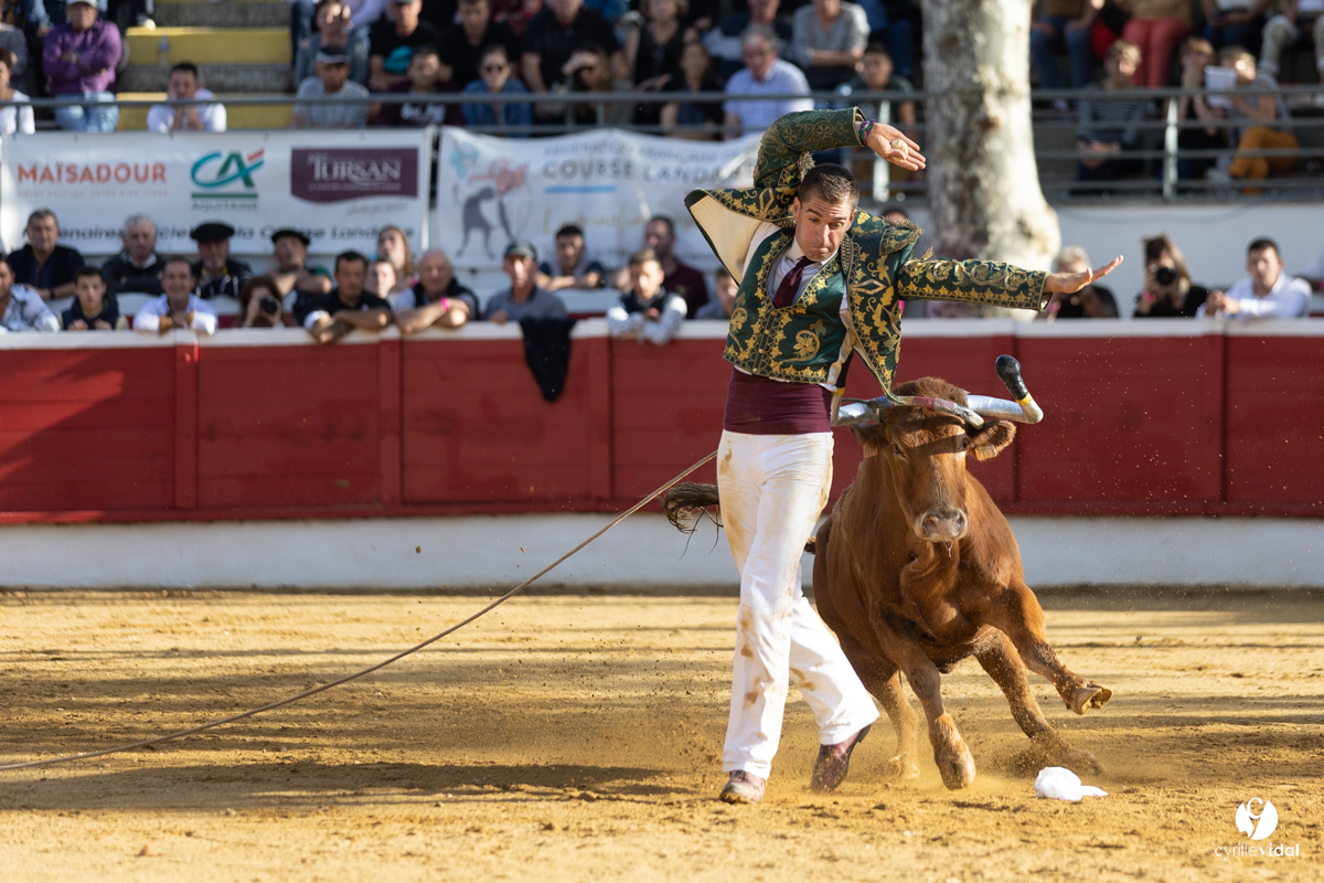 Nogaro Championnat de France de course landaise 2022