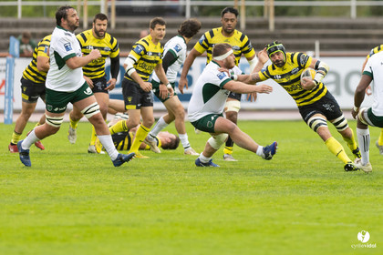 Stade Montois Rugby - Montauban