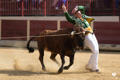 Course landaise Le Houga Ganadéria Dussau Cuadrilla Alexandre Brethes