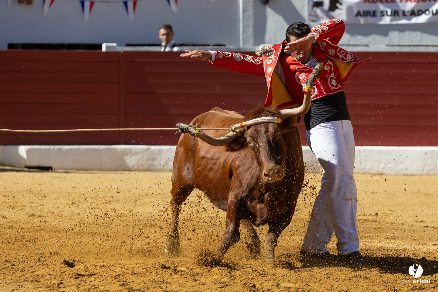 Aire-sur-l'Adour Championnat de France de course landaise 2023