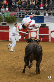Nogaro Championnatde France de Course Landaise 2017