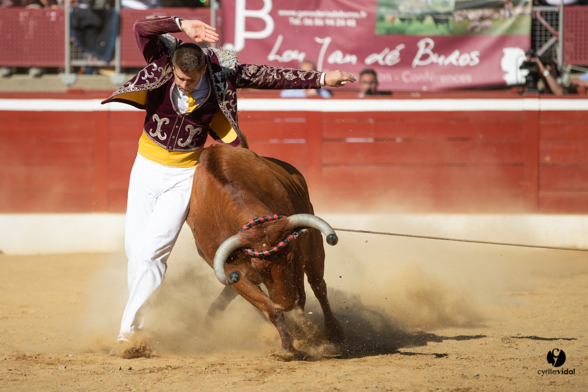 Mont-de-Marsan championnat de France de course landaise 2019
