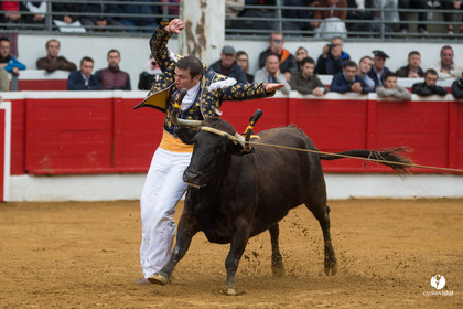 Nogaro Championnatde France de Course Landaise 2017
