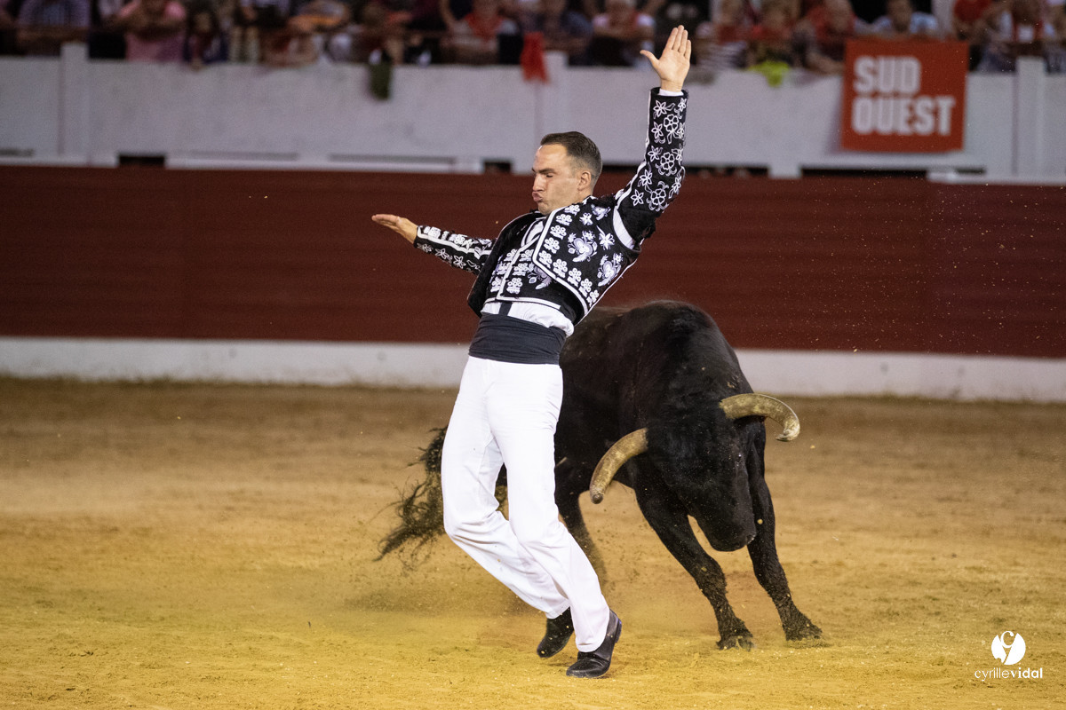Landes émotions à Aire-sur-l'Adour