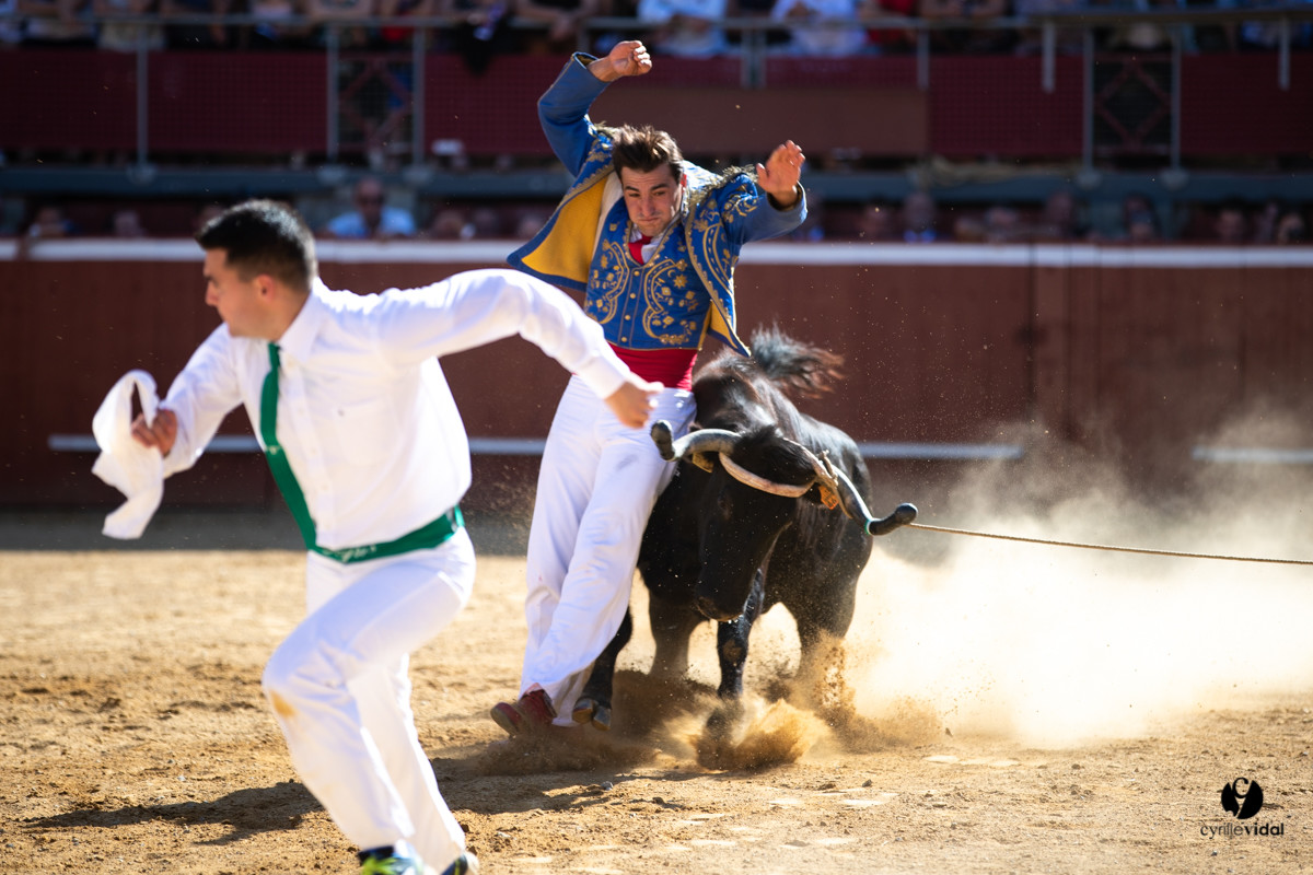 Mont-de-Marsan championnat de France de course landaise 2019