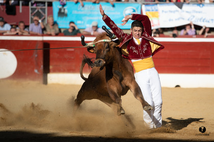 Mont-de-Marsan championnat de France de course landaise 2019