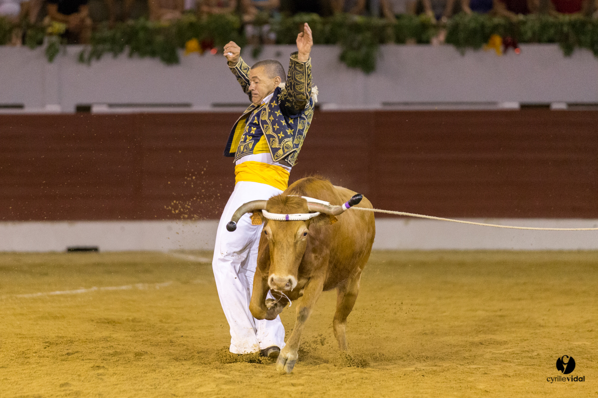 Aire sur l'Adour course landaise génération Aturine