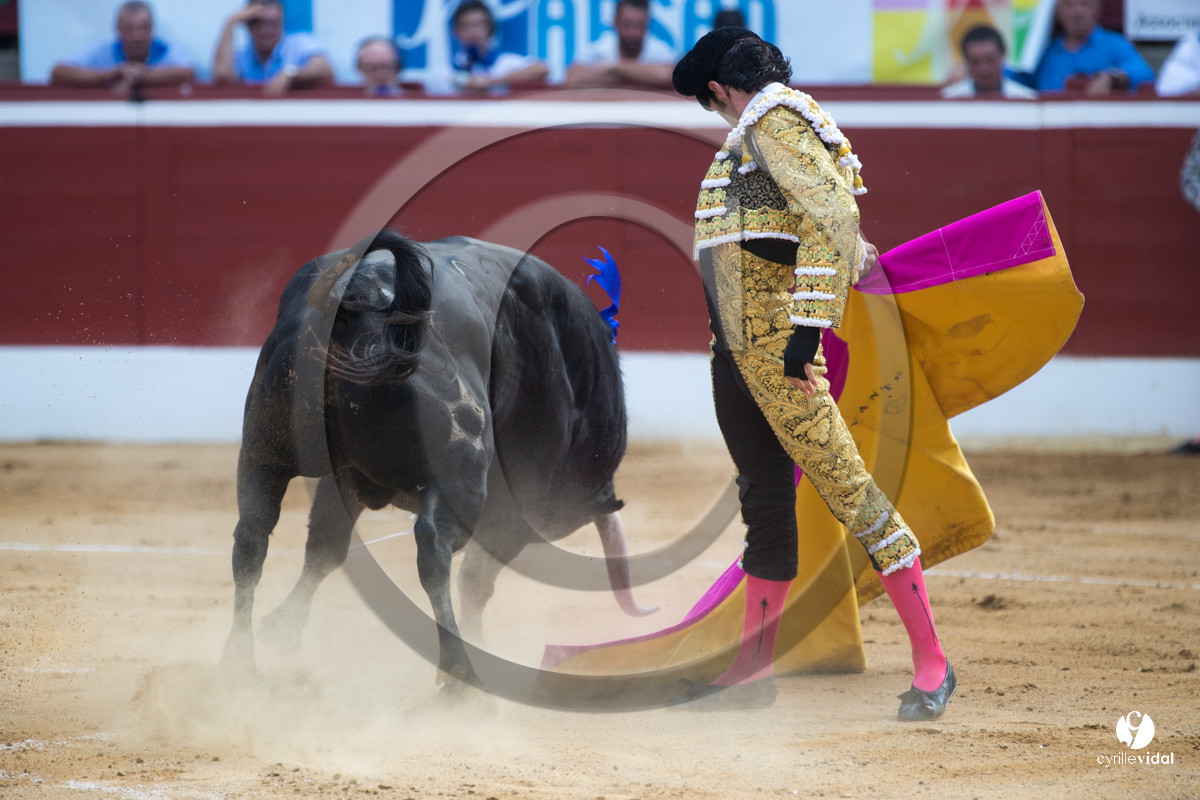 Mont-de-Marsan corrida de Jandilla pour Padilla - Talavante - Roca Rey