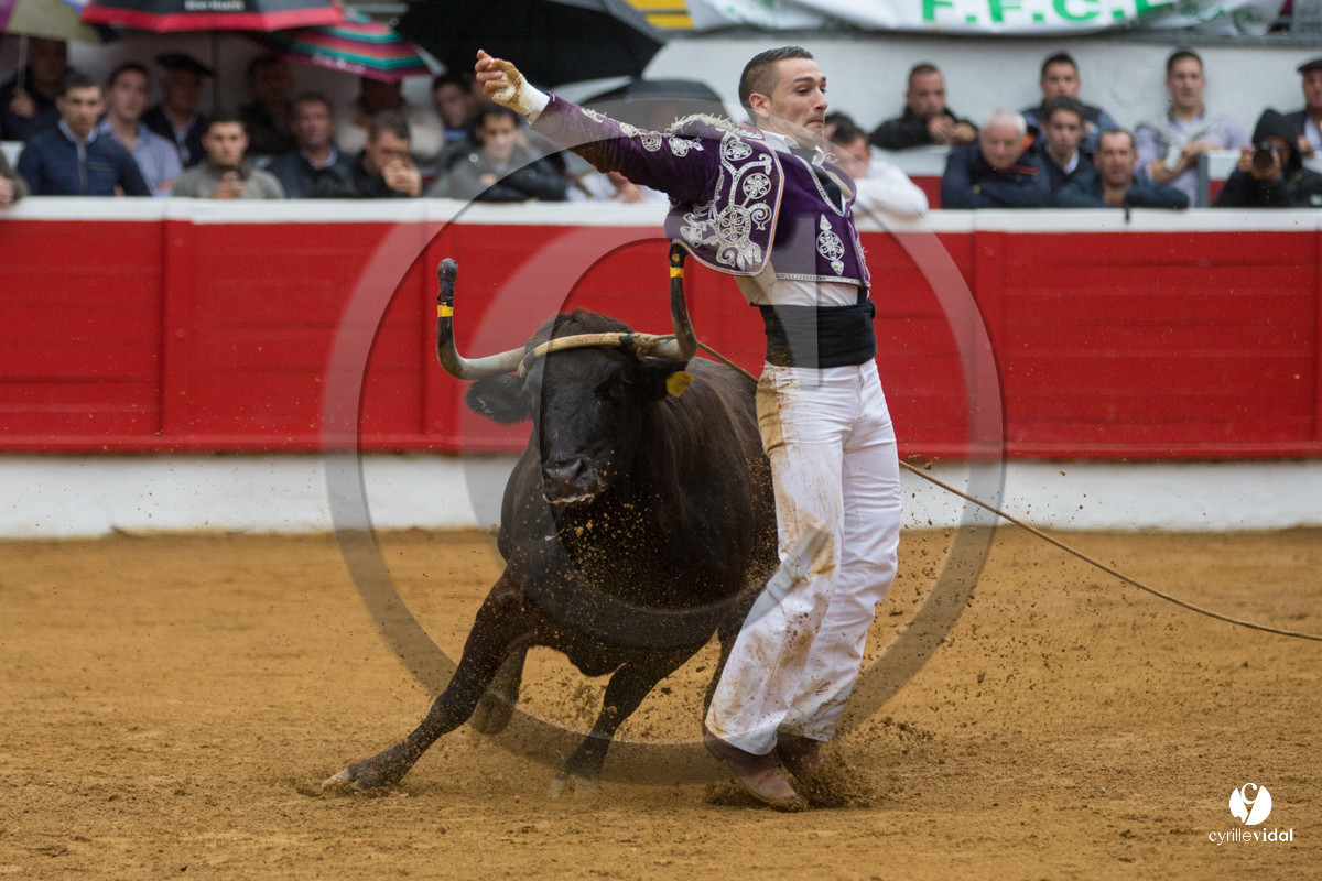 Nogaro Championnatde France de Course Landaise 2017