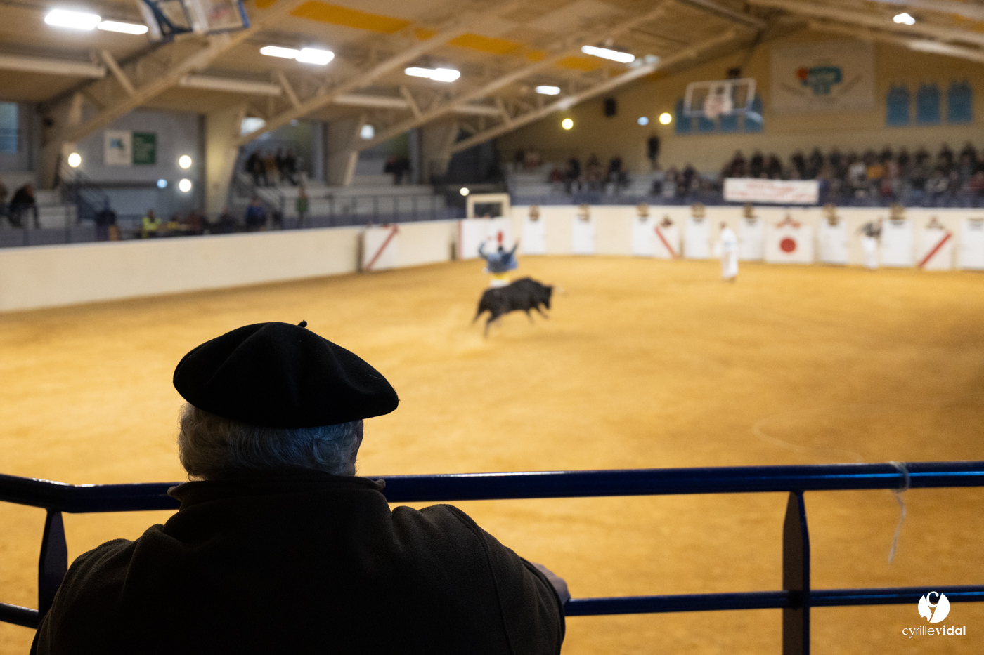 Horsarrieu course landaise du boléro d'Argent