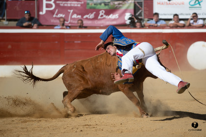 Mont-de-Marsan championnat de France de course landaise 2019