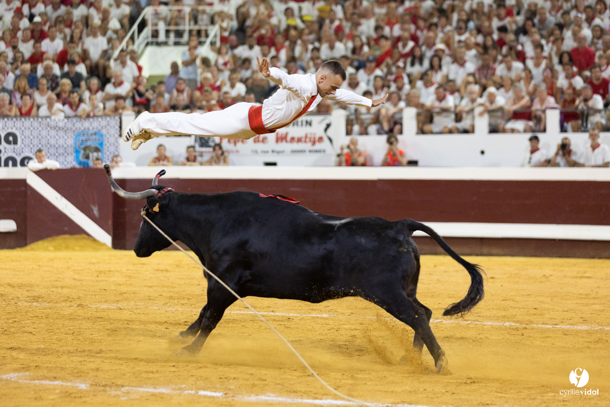 Dax concours landais 2022