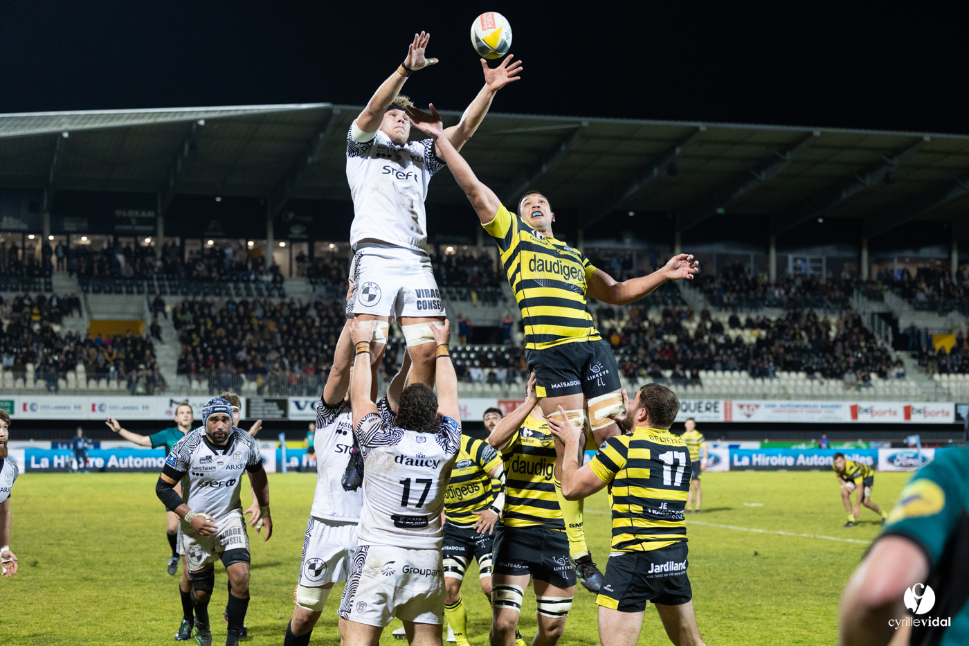 Stade Montois Rugby - Vannes