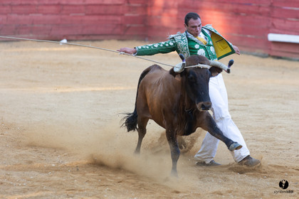 Course landaise à Panjas