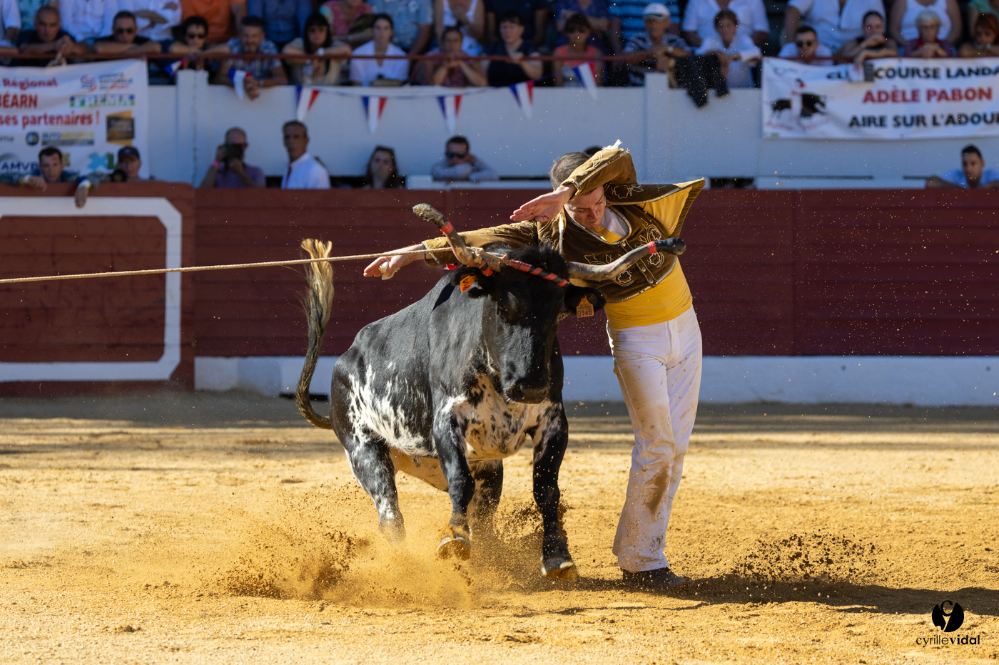 Aire-sur-l'Adour Championnat de France de course landaise 2023