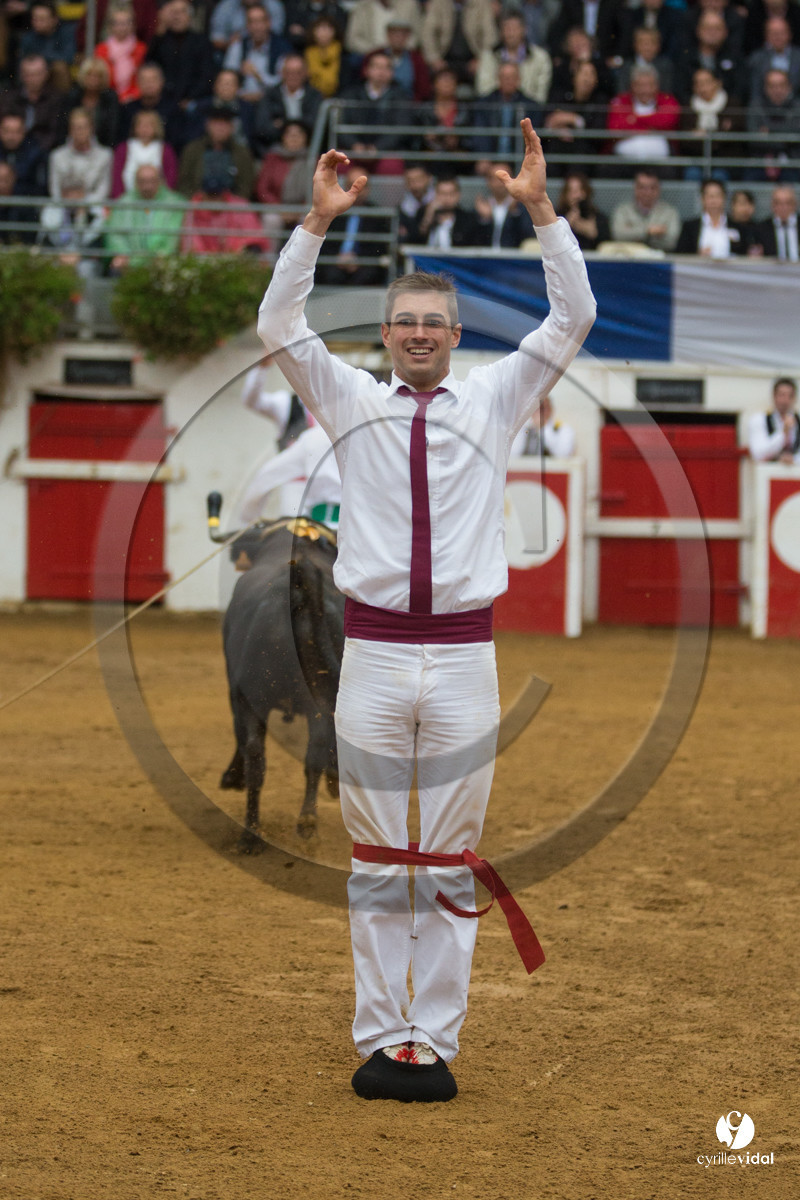 Nogaro Championnatde France de Course Landaise 2017