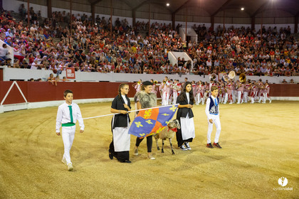 Landes émotions à Aire-sur-l'Adour