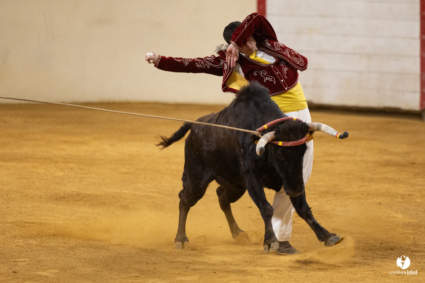 Horsarrieu course landaise du boléro d'Argent