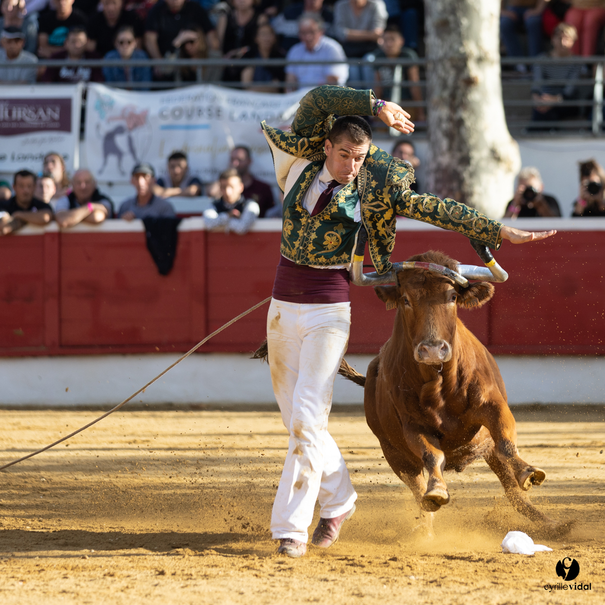 Nogaro Championnat de France de course landaise 2022