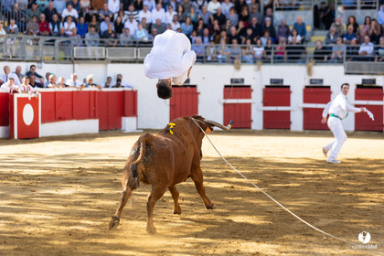 Nogaro Championnat de France de course landaise 2022
