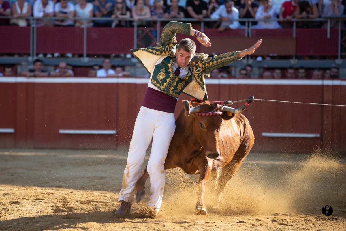 Mont-de-Marsan championnat de France de course landaise 2019