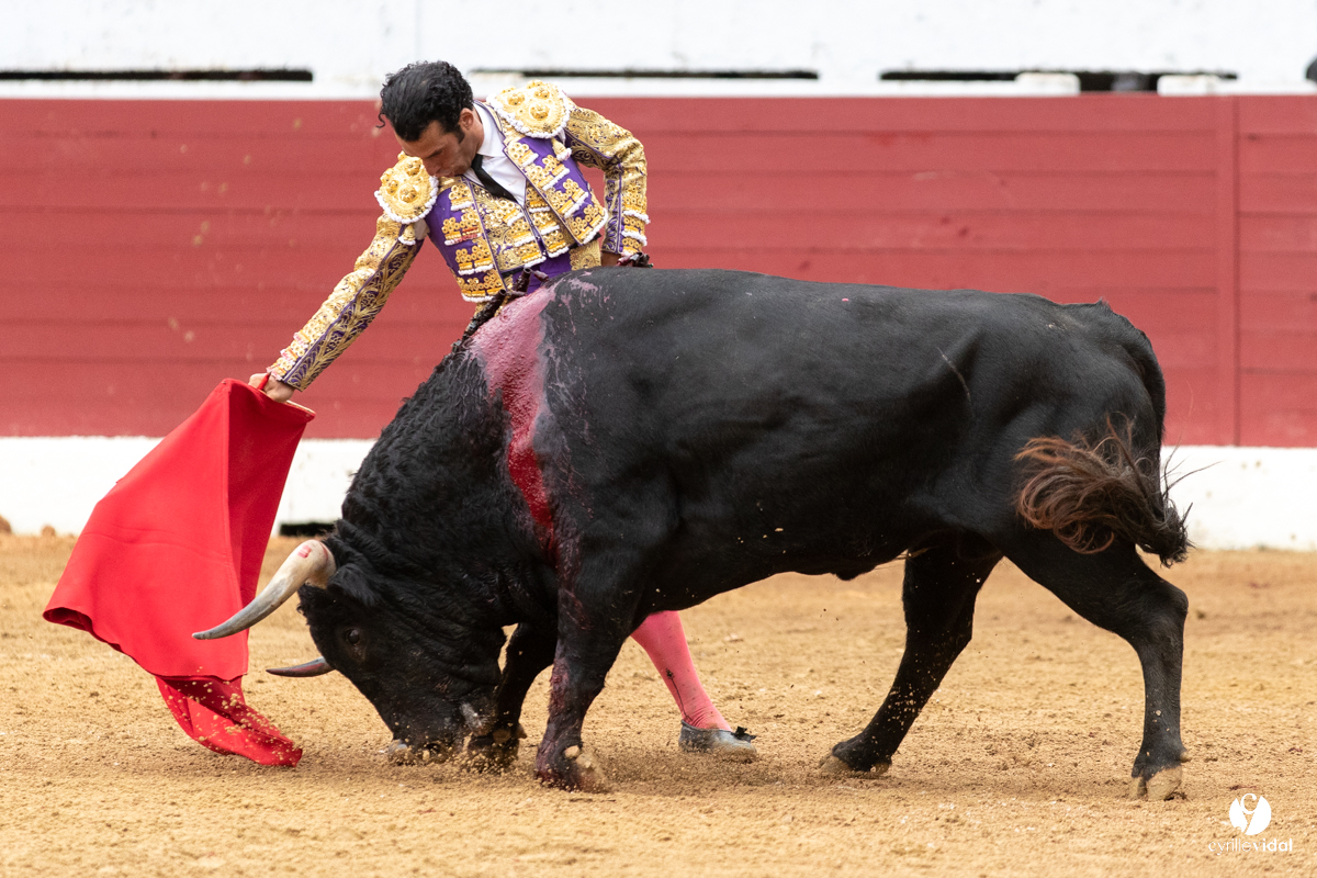 Corrida d'Aire sur l'Adour