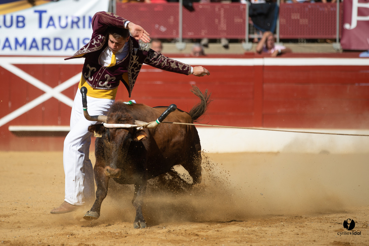 Mont-de-Marsan championnat de France de course landaise 2019