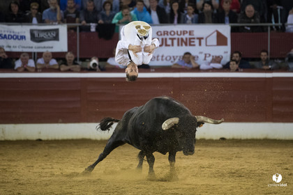 Mont-de-Marsan festival Art et Courage