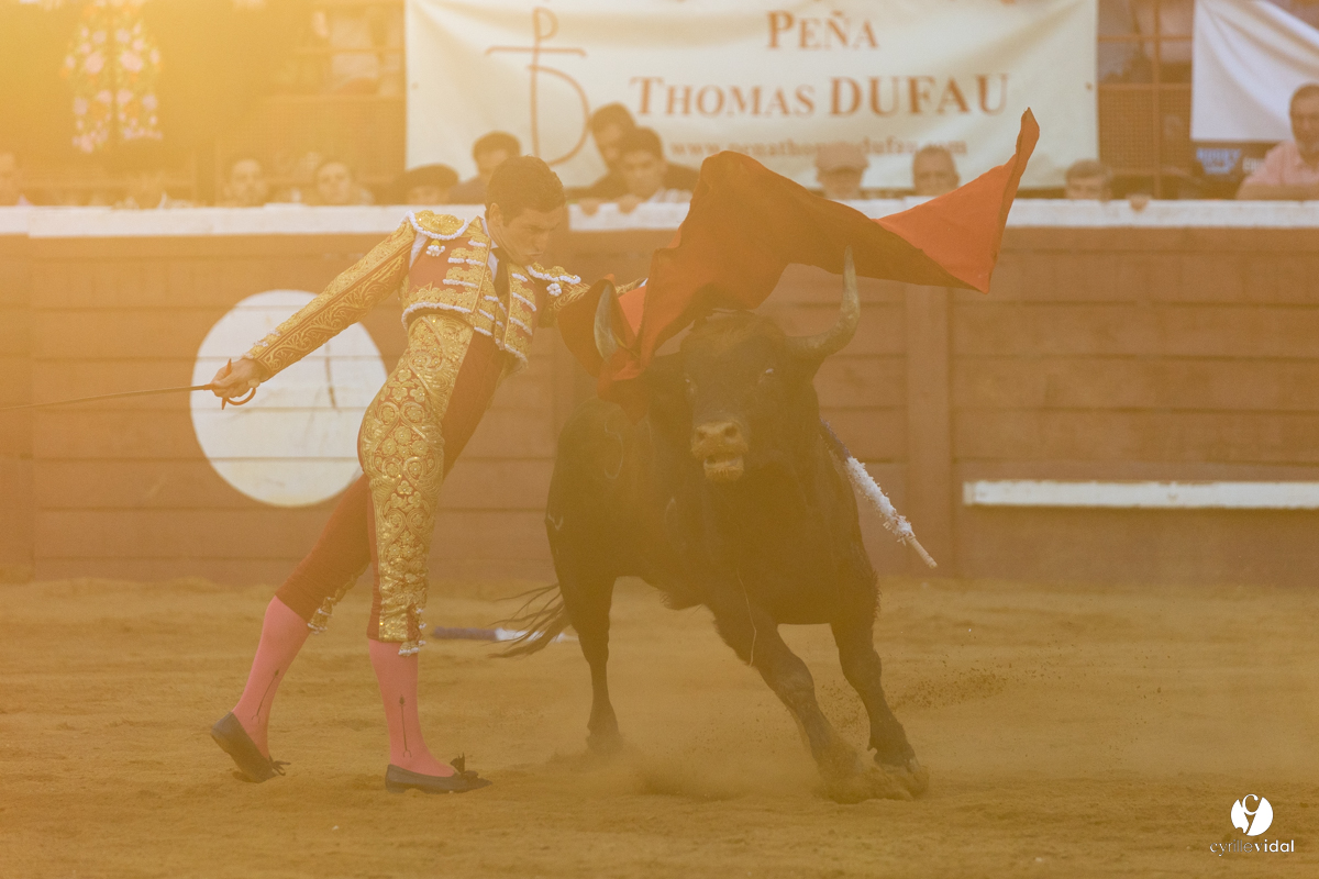 Corrida de Villeneuve-de-Marsan