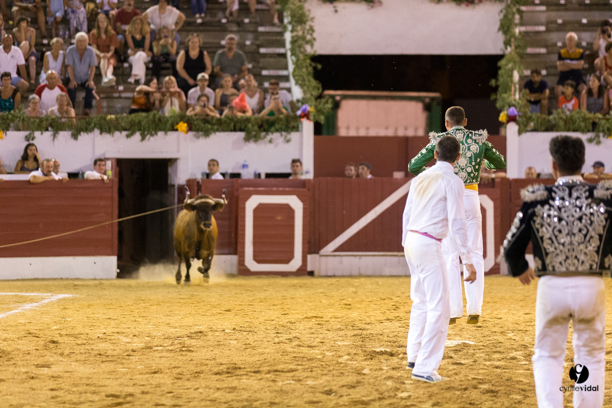 Aire sur l'Adour course landaise génération Aturine