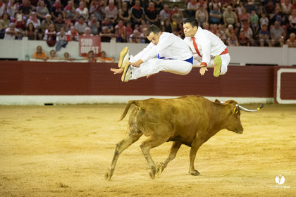 Landes émotions à Aire-sur-l'Adour