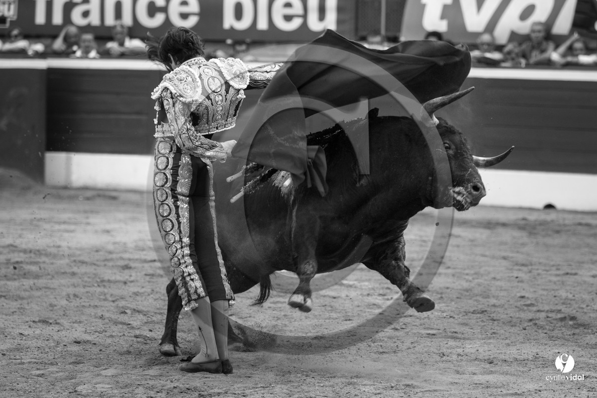 Mont-de-Marsan corrida de Jandilla pour Padilla - Talavante - Roca Rey