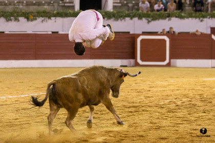 Aire sur l'Adour course landaise génération Aturine