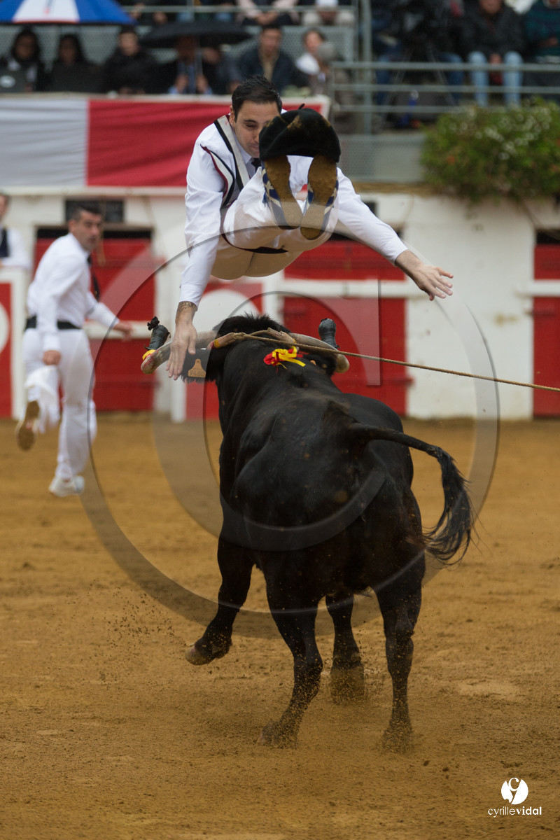 Nogaro Championnatde France de Course Landaise 2017