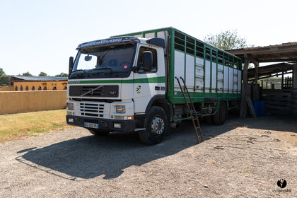 Course landaise à Panjas