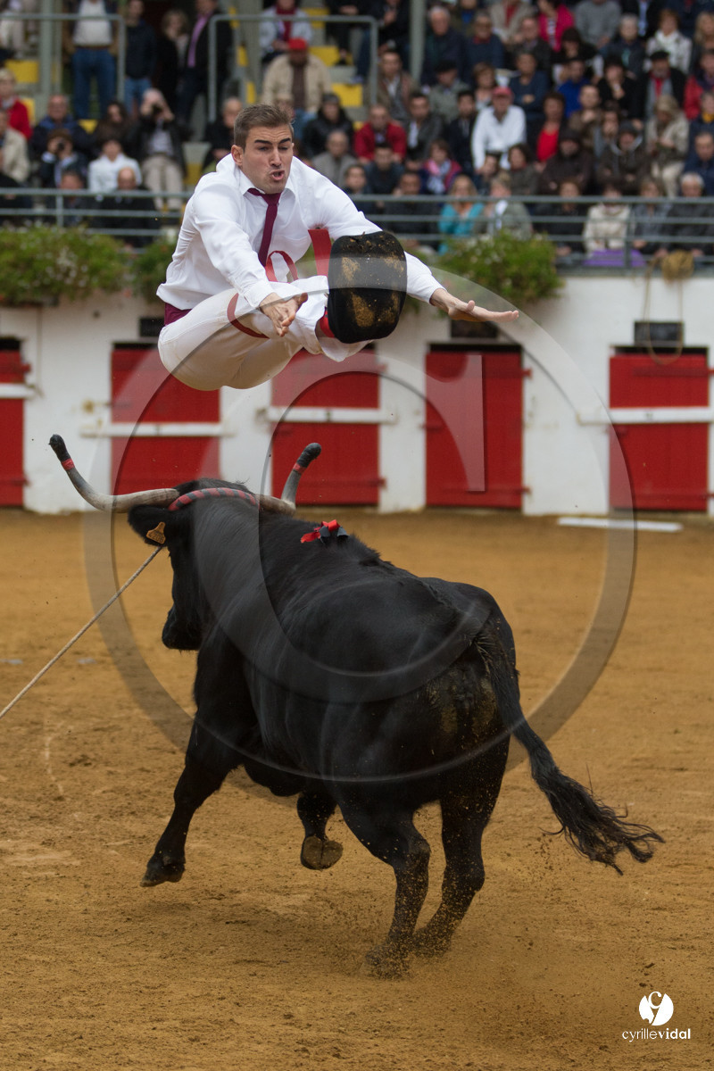 Nogaro Championnatde France de Course Landaise 2017