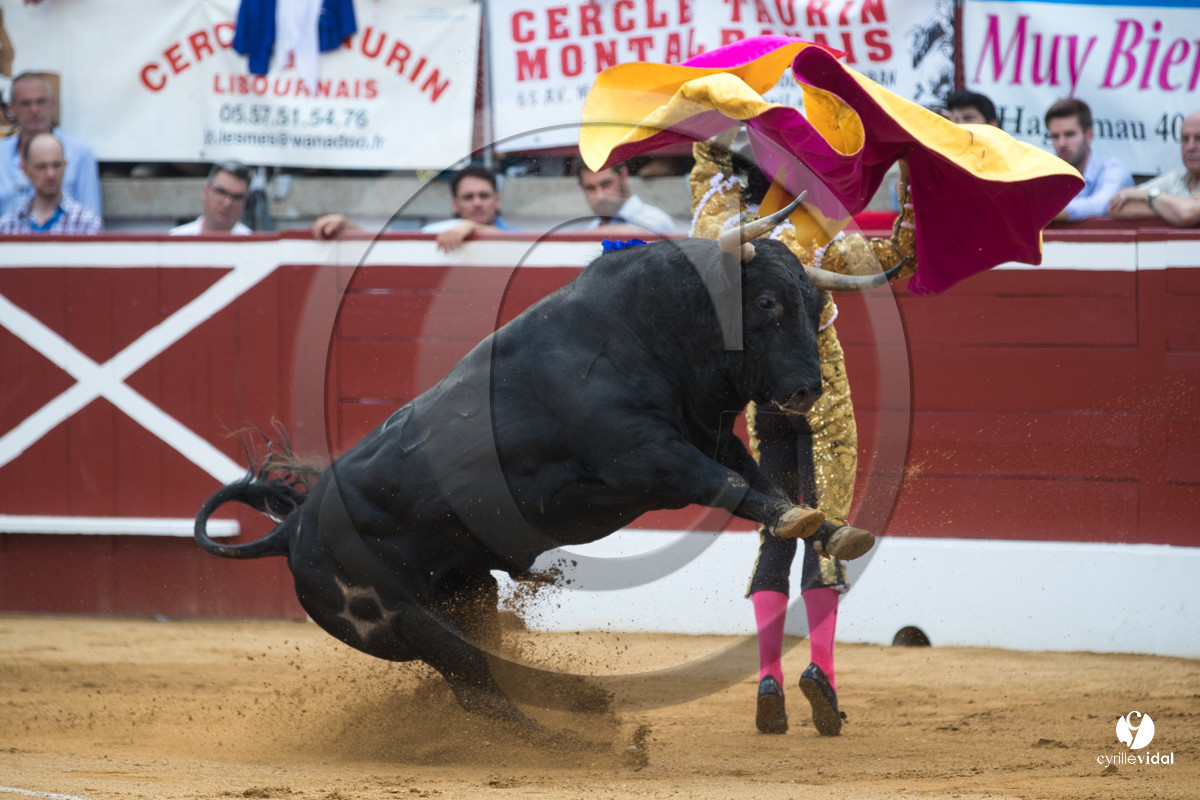 Mont-de-Marsan corrida de Jandilla pour Padilla - Talavante - Roca Rey